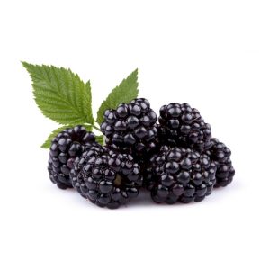 Fresh Blackberry